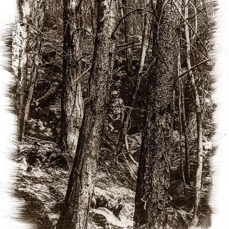 Luis Carlos Camargo Rodríguez