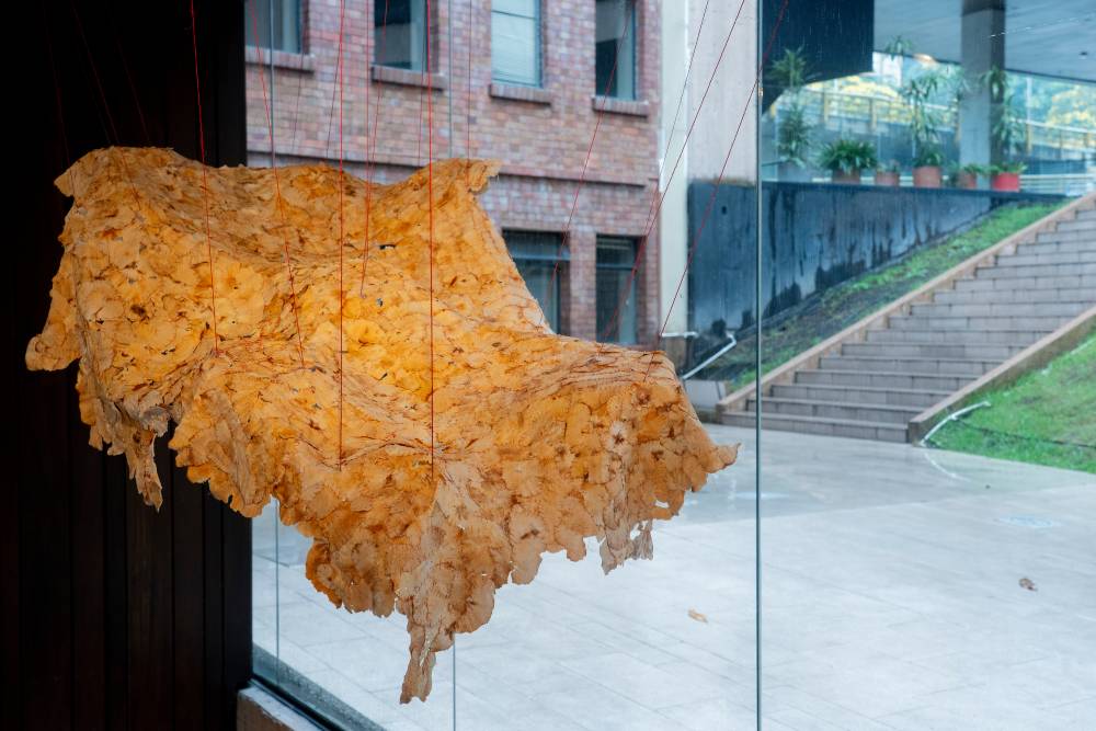 Umbrales de sanación