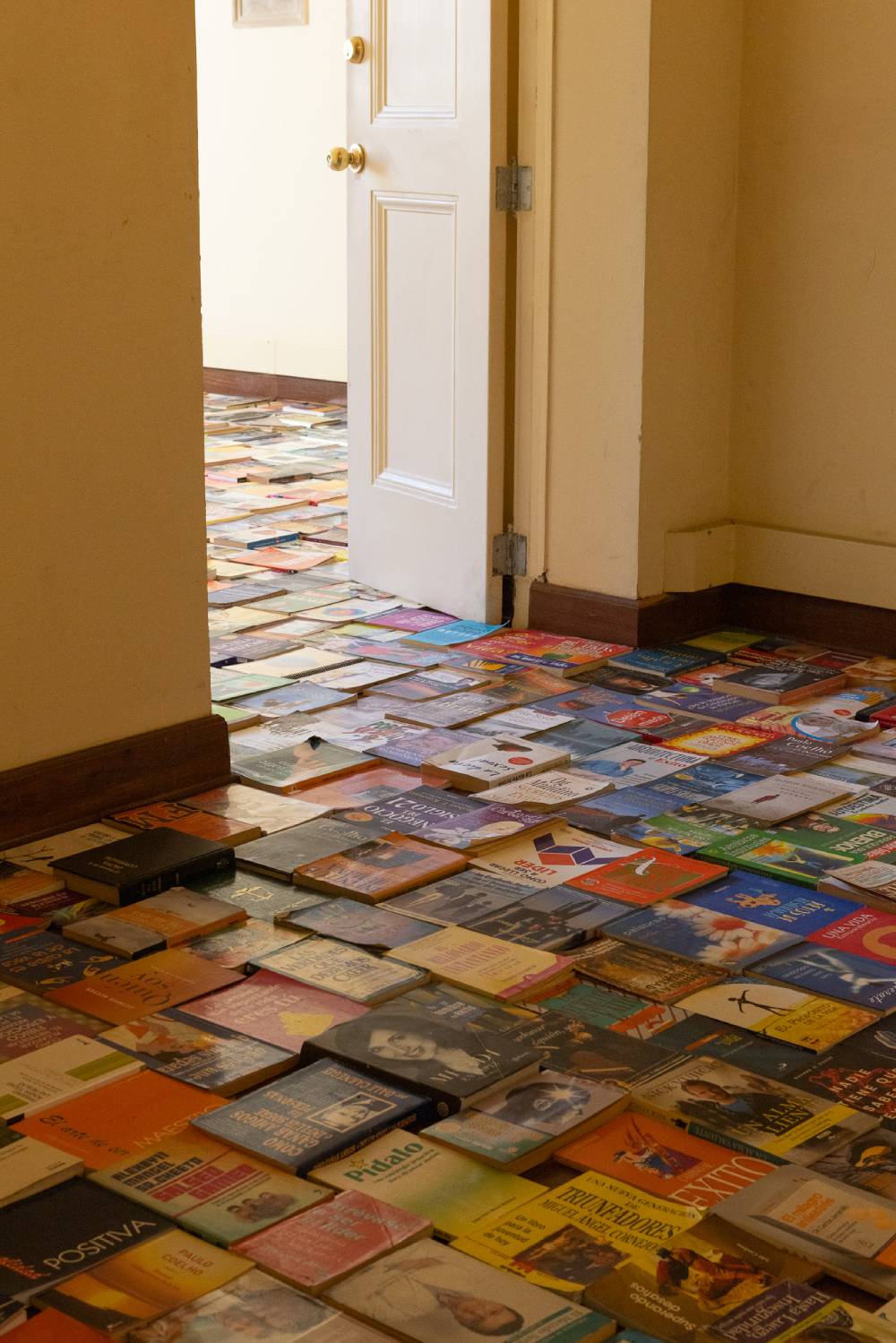 Gabriel Garz&oacute;n Bonilla