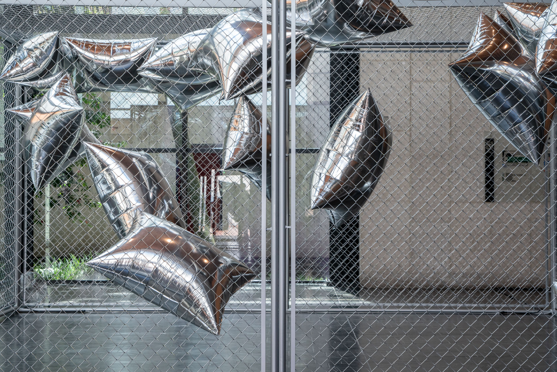 Maril&aacute; Dardot