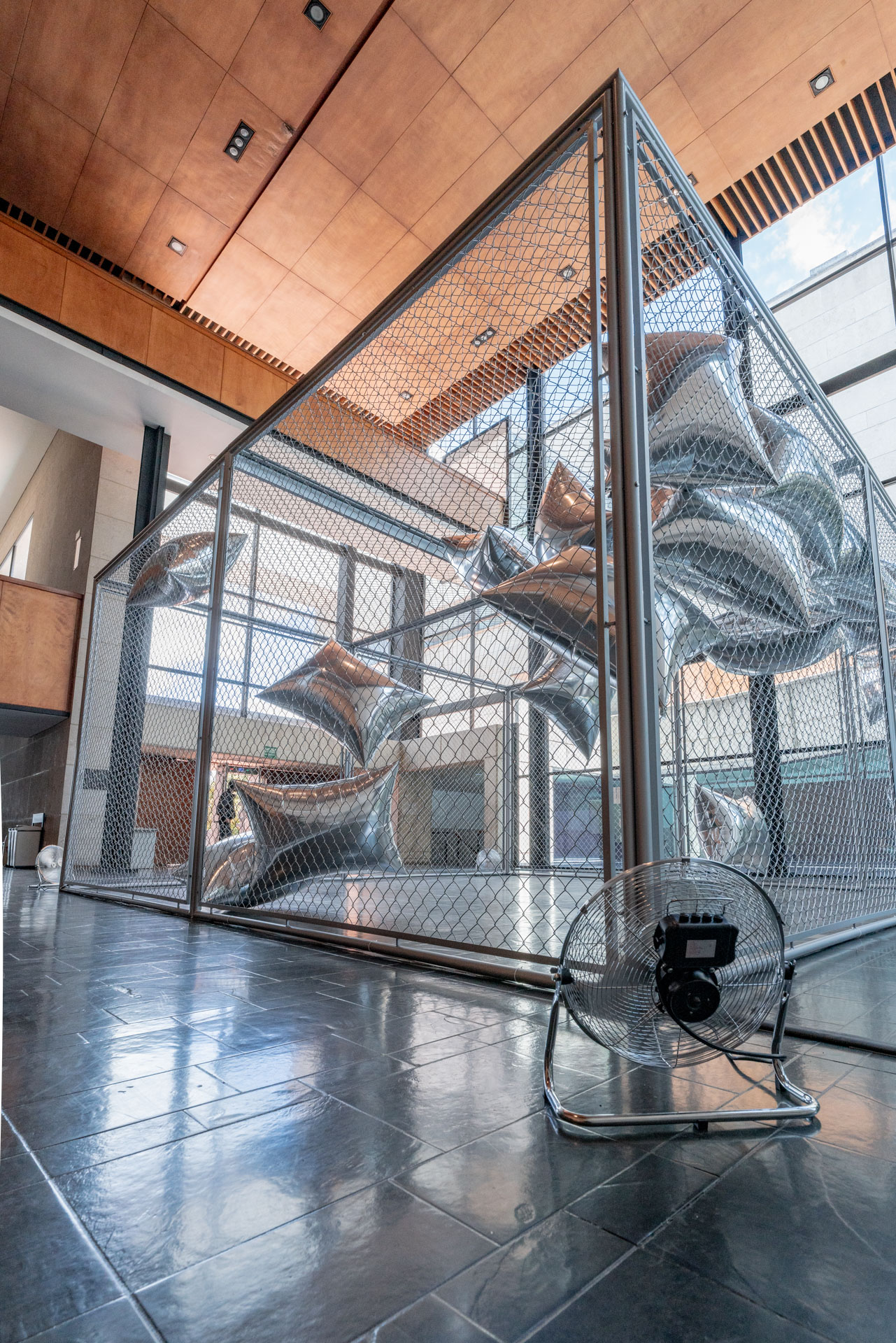 Maril&aacute; Dardot