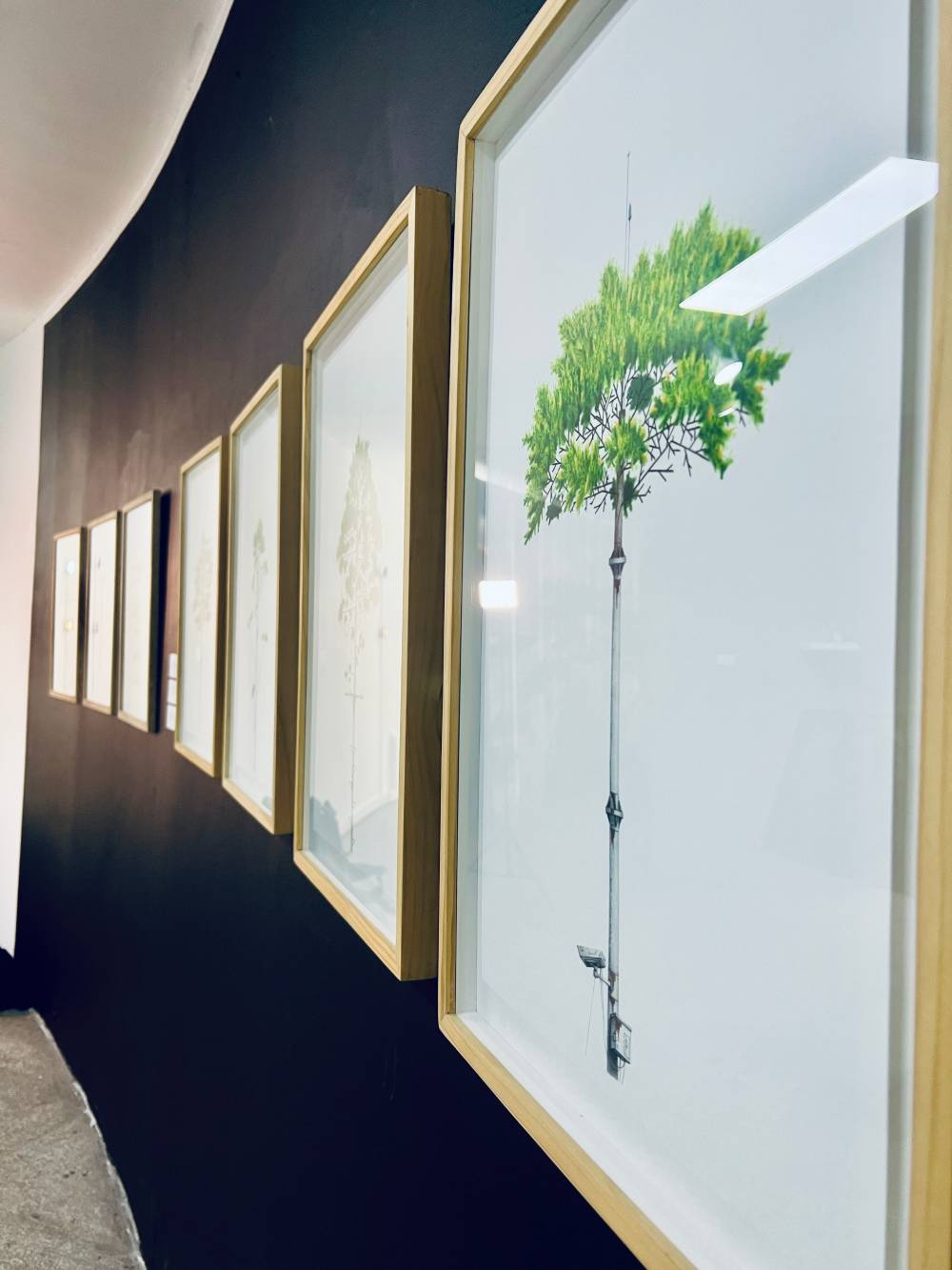 Transformaciones de una ciudad por habitar