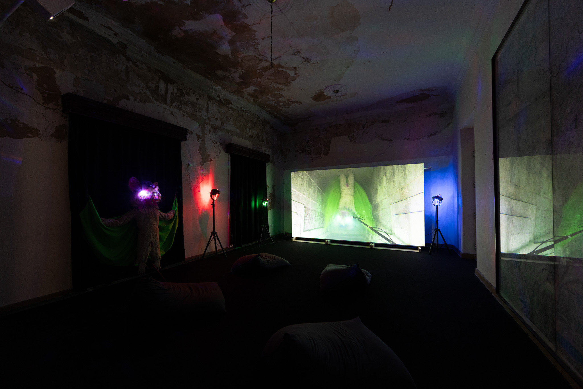 Naom&iacute; Rinc&oacute;n-Gallardo