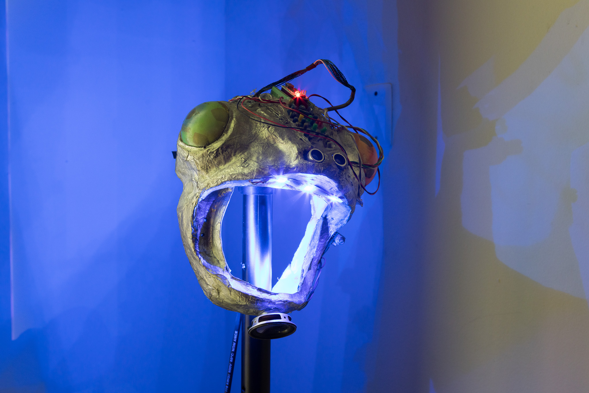 Naom&iacute; Rinc&oacute;n-Gallardo