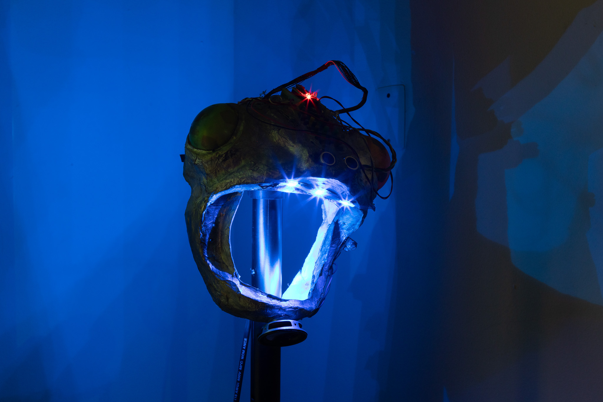 Naom&iacute; Rinc&oacute;n-Gallardo