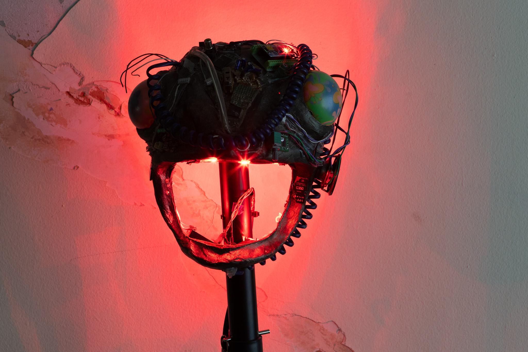 Naom&iacute; Rinc&oacute;n-Gallardo