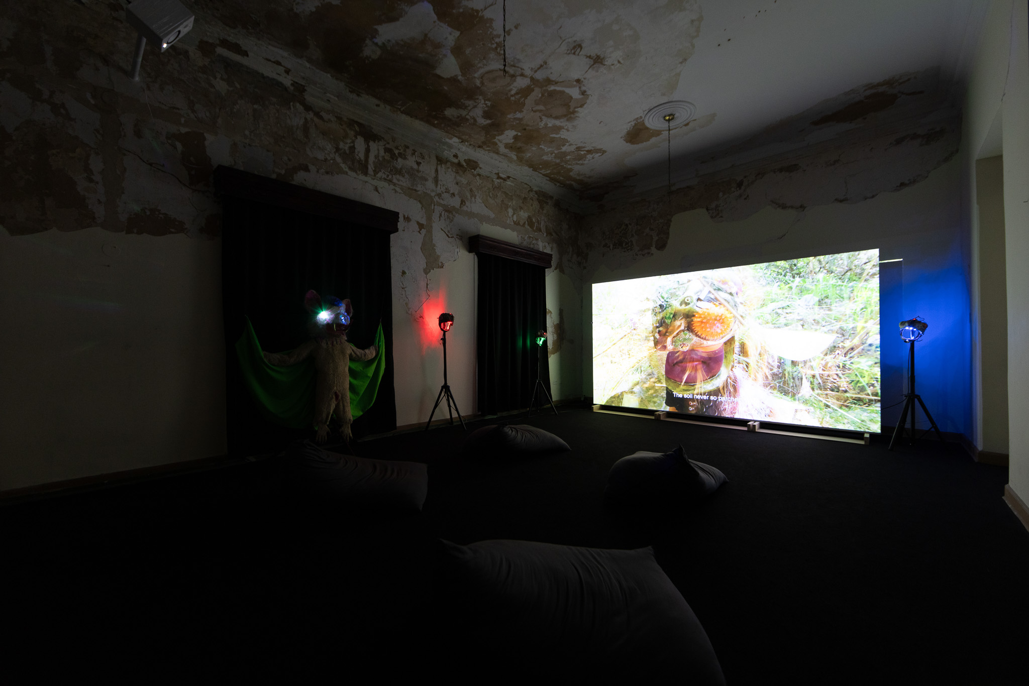 Naom&iacute; Rinc&oacute;n-Gallardo