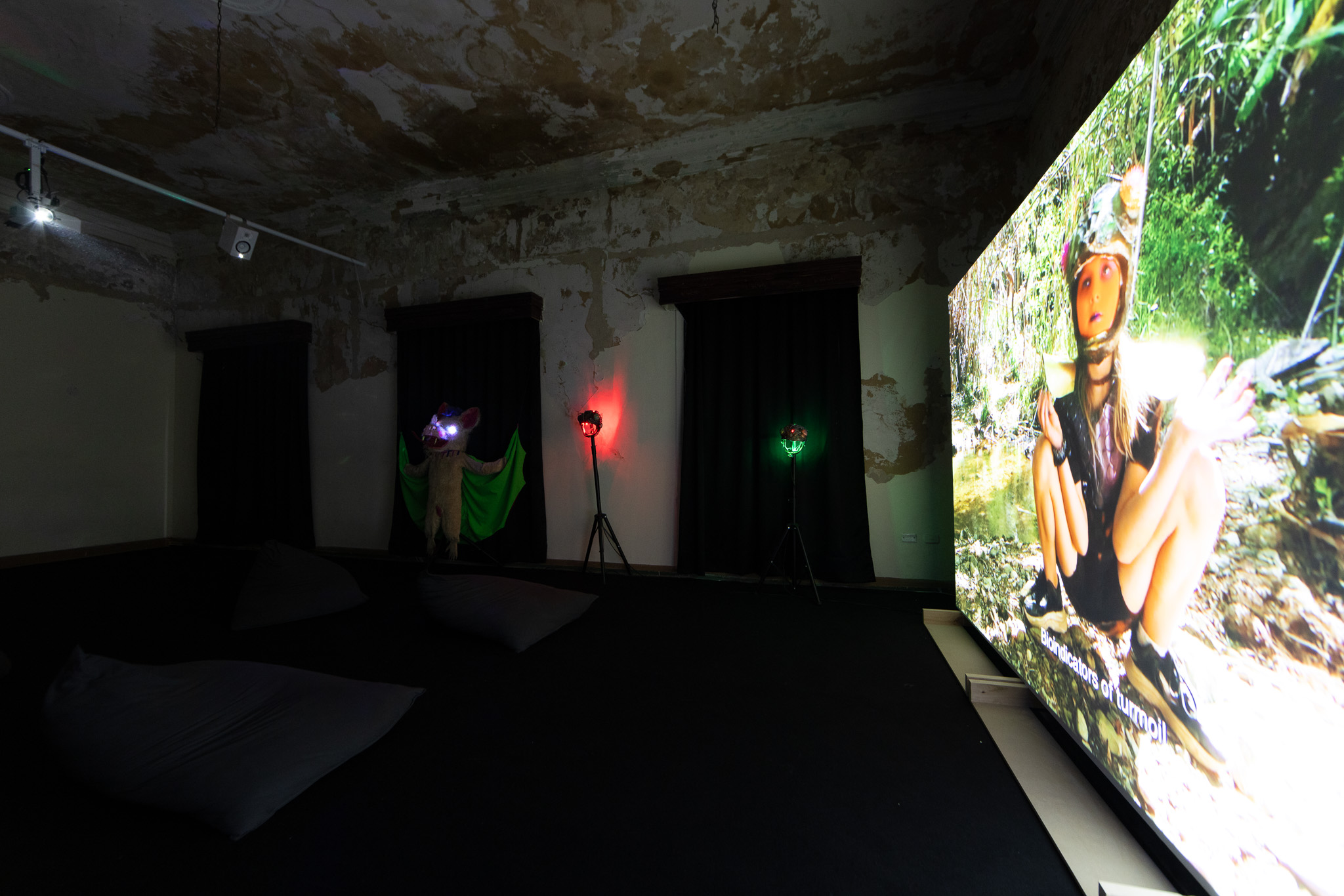 Naom&iacute; Rinc&oacute;n-Gallardo