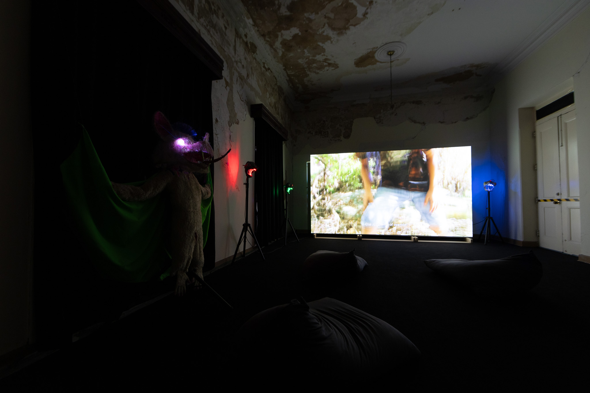 Naom&iacute; Rinc&oacute;n-Gallardo