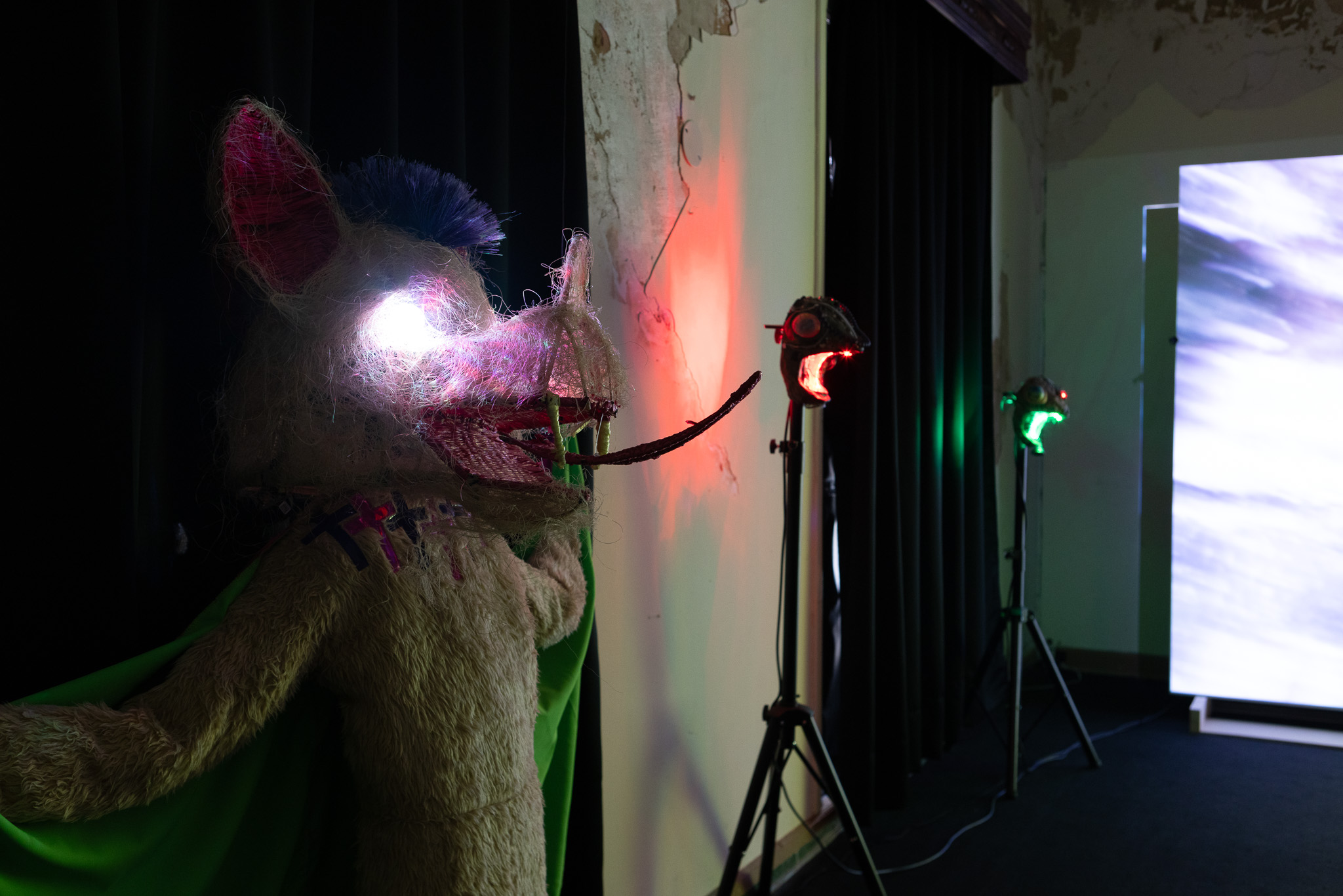 Naom&iacute; Rinc&oacute;n-Gallardo