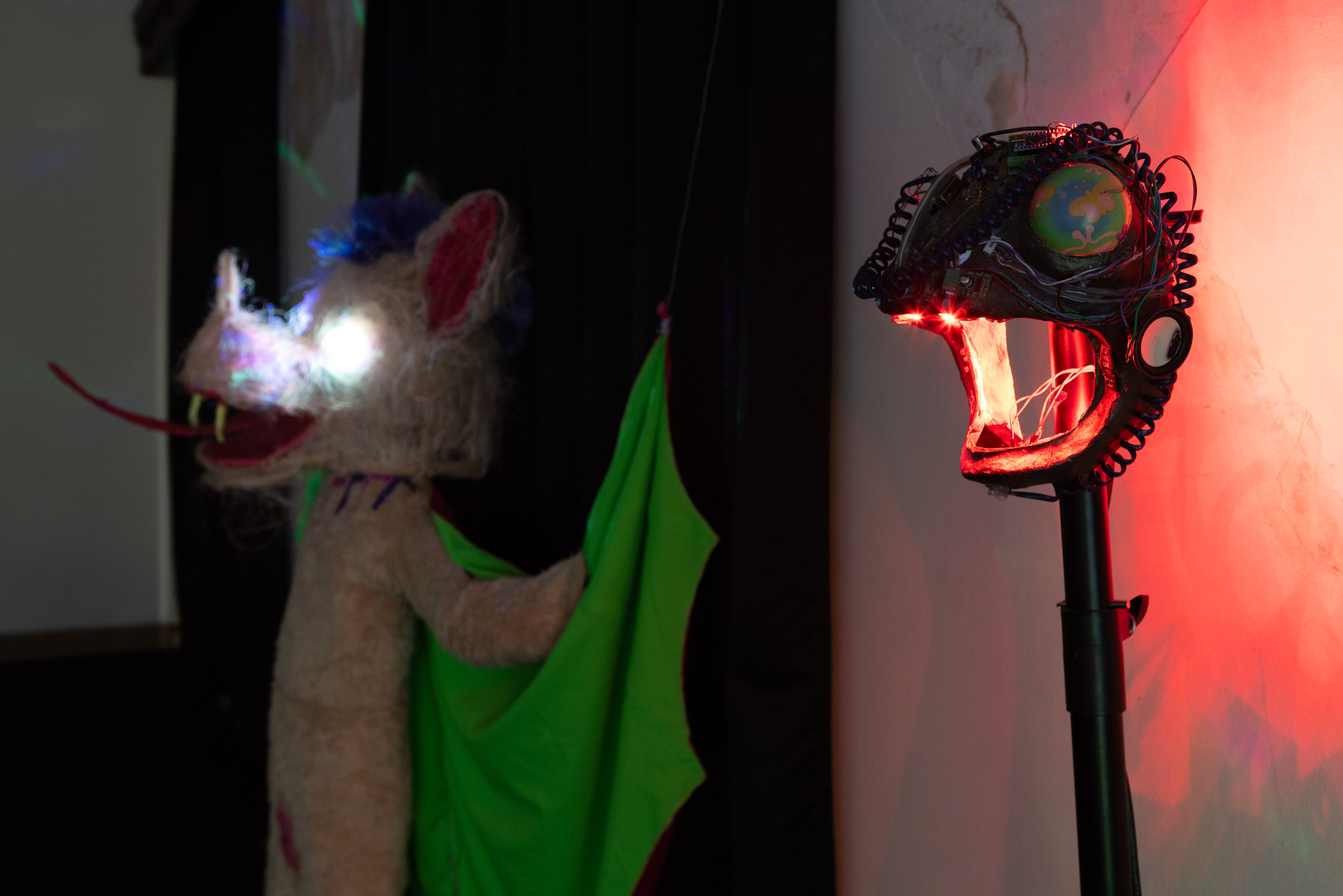 Naom&iacute; Rinc&oacute;n-Gallardo