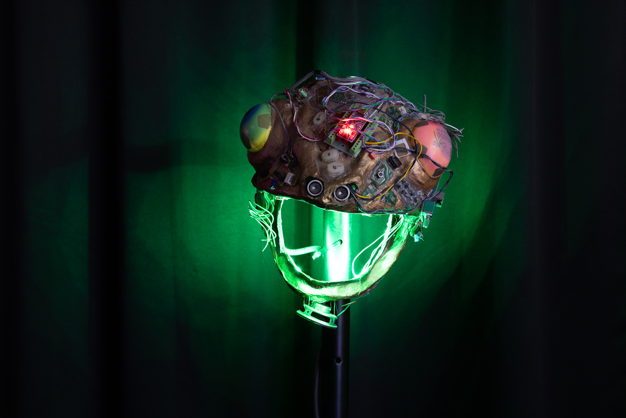 Naom&iacute; Rinc&oacute;n-Gallardo