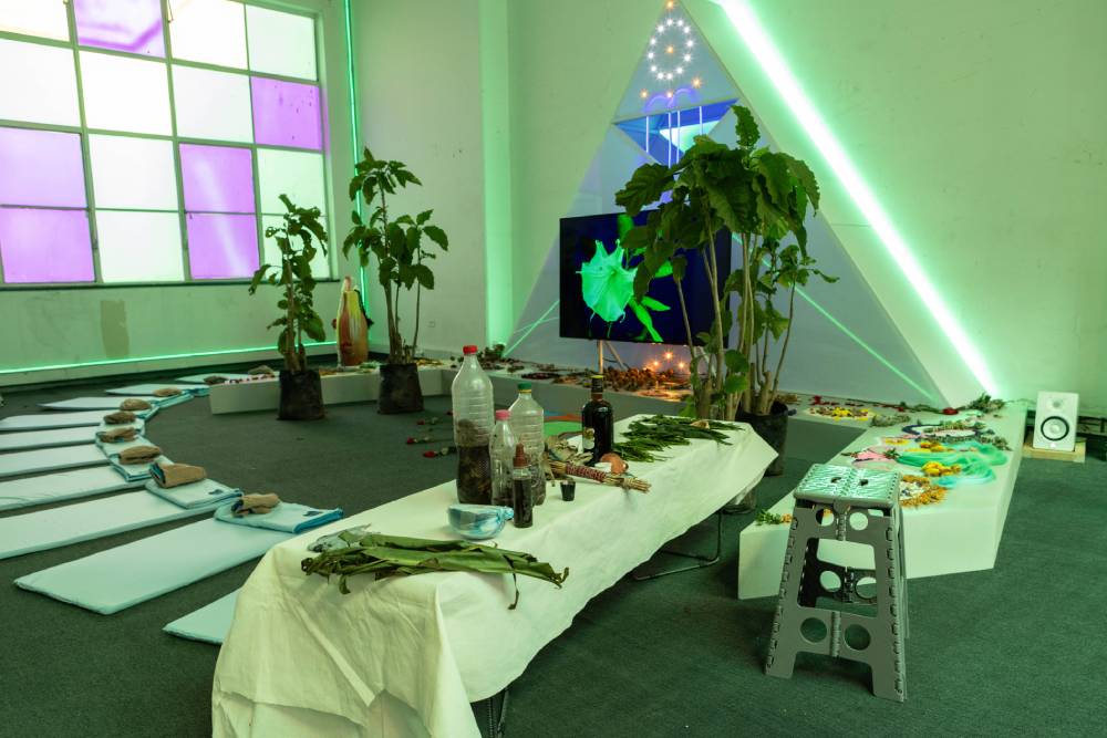 Patricia Dom&iacute;nguez