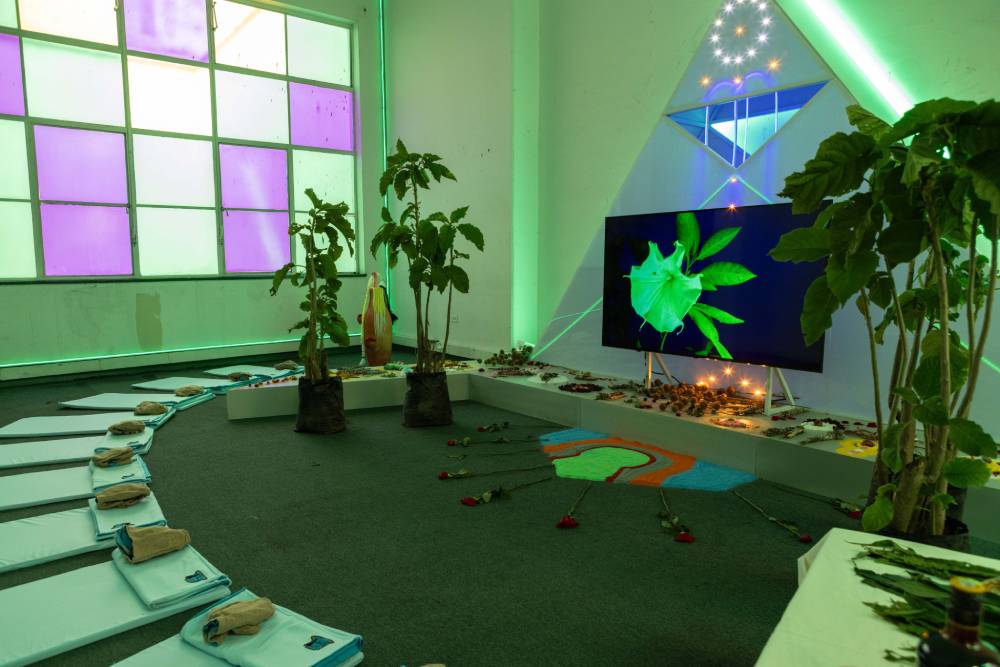 Patricia Dom&iacute;nguez