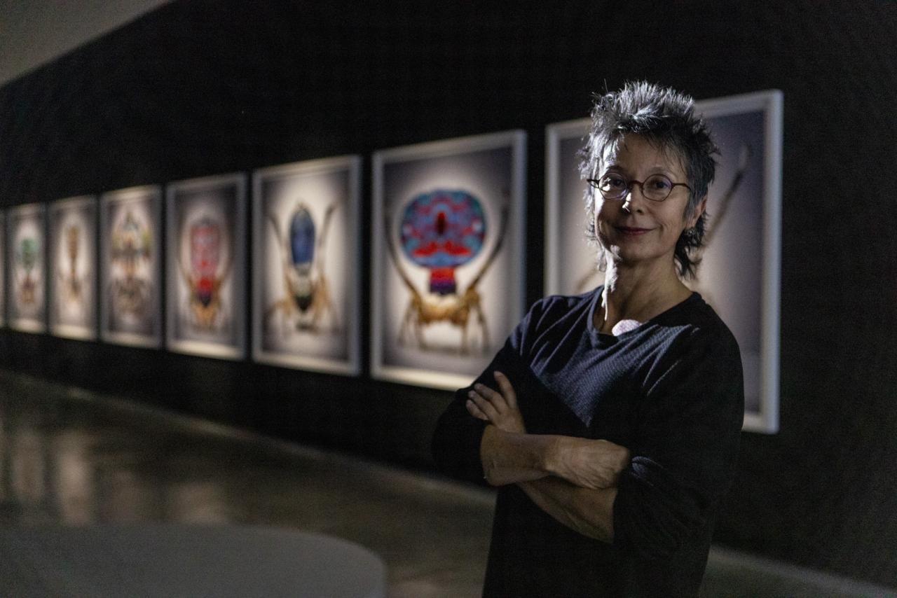 María Fernanda Cardoso