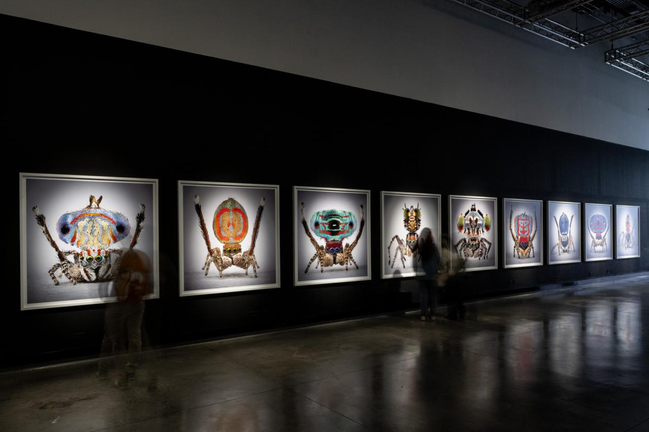 María Fernanda Cardoso