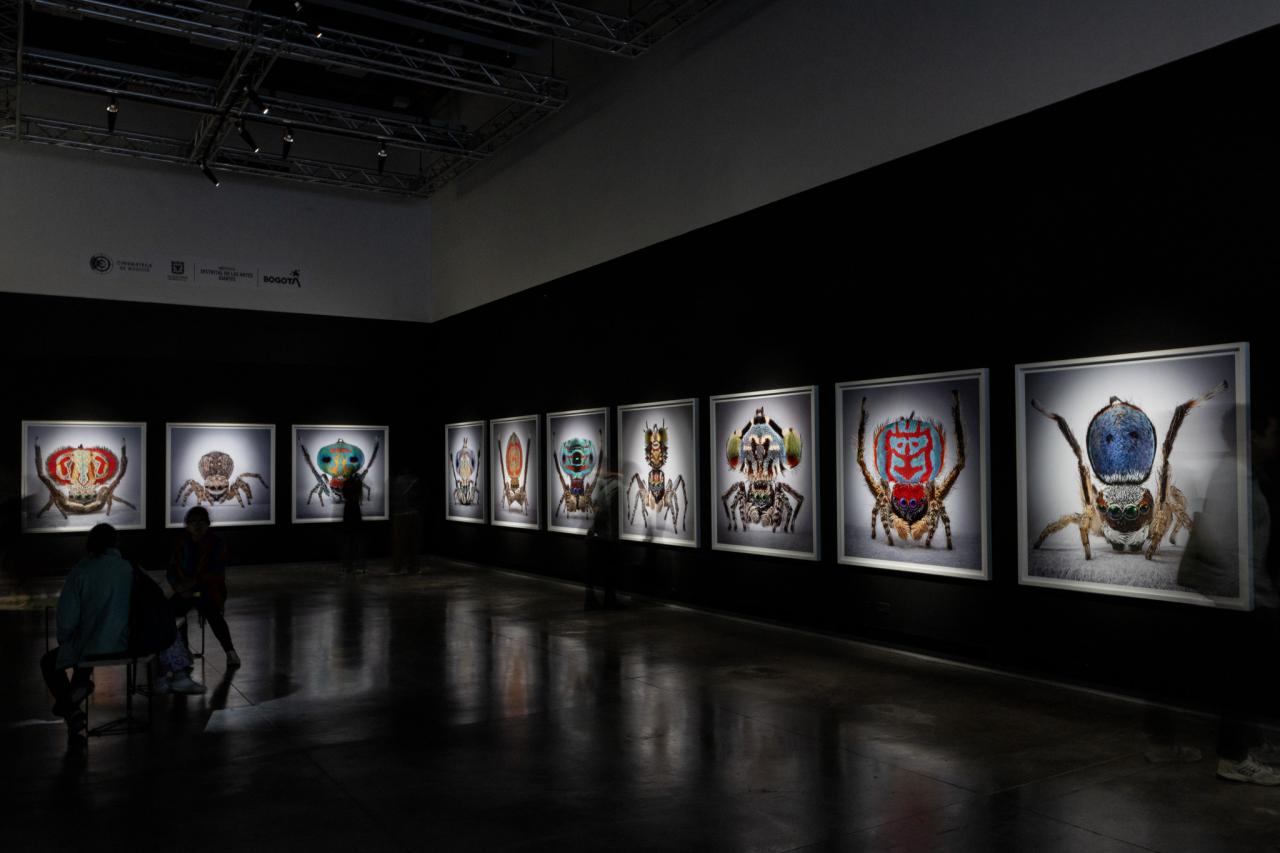 María Fernanda Cardoso