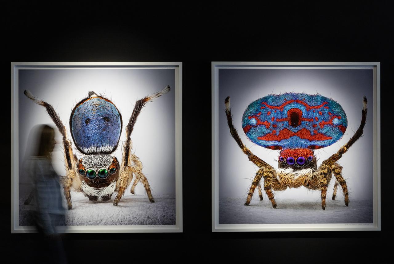 María Fernanda Cardoso