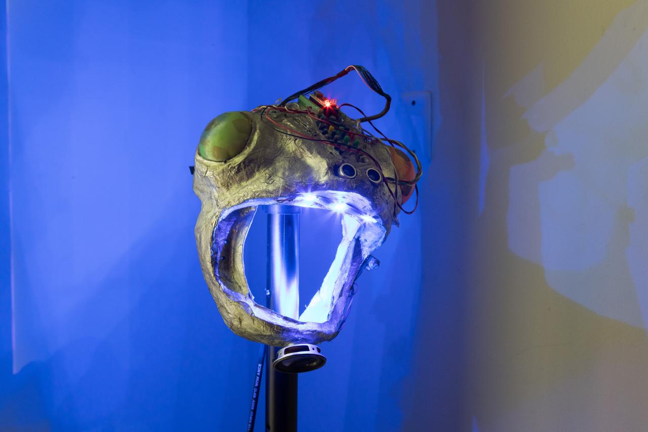 Naomí Rincón-Gallardo