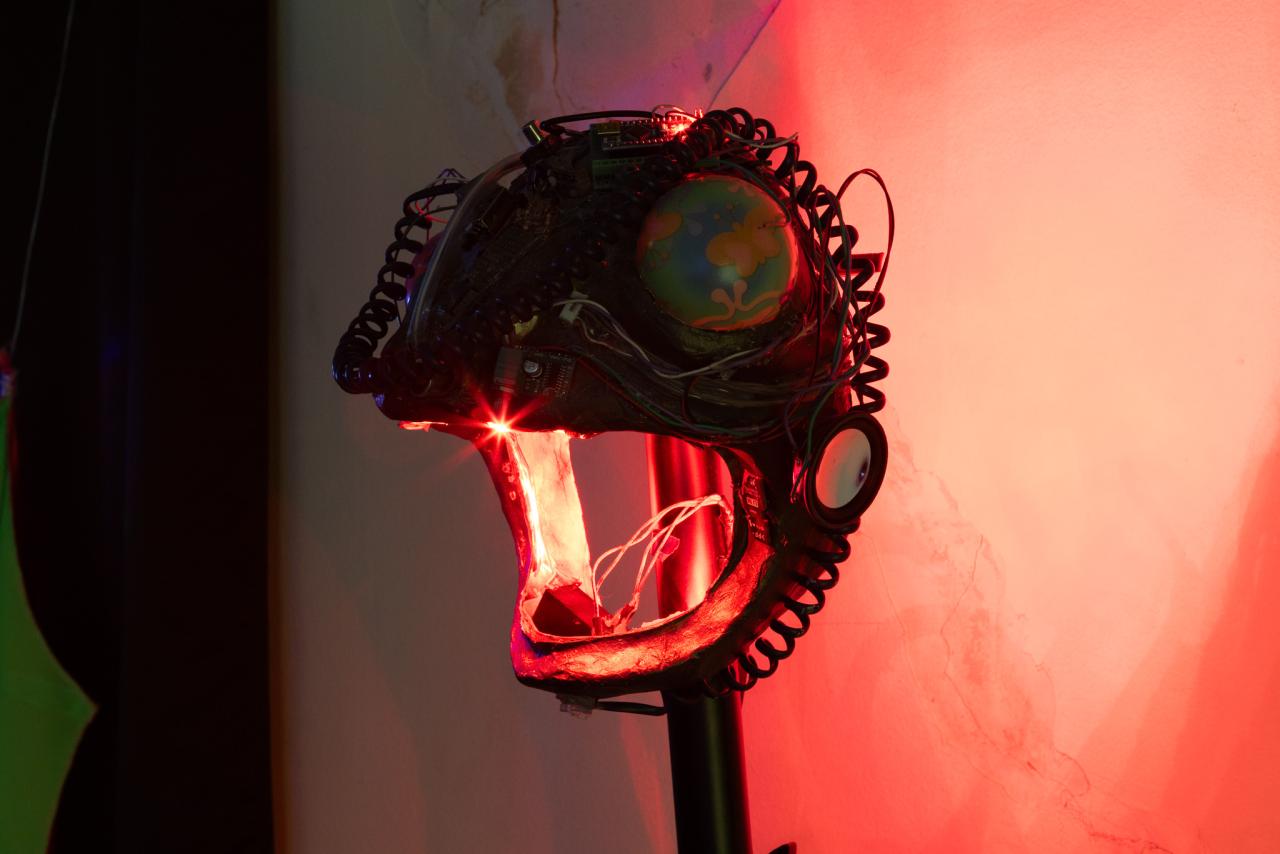 Naomí Rincón-Gallardo